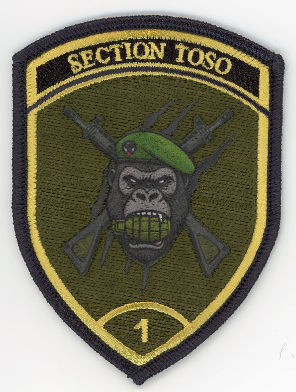 Badge brodé personnalisé réalisé pour une section de l’armée suisse