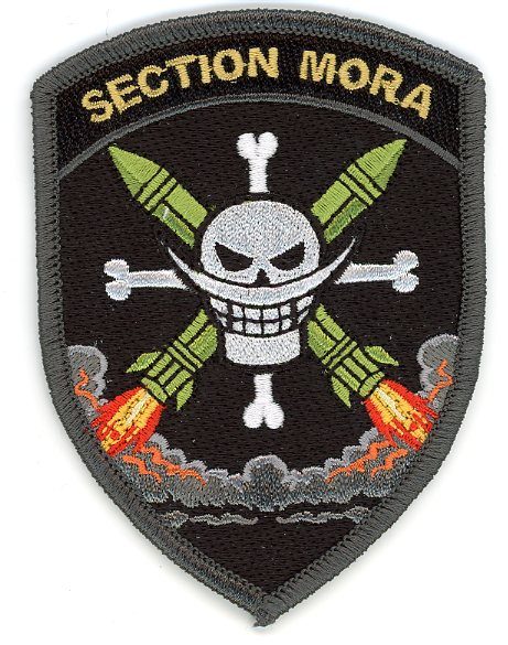 Badge brodé personnalisé réalisé pour une section de l’armée suisse