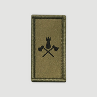 Insigne d'arme/troupe - Troupes de sauvetage