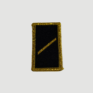 BADGI DI GRADO - Army svizzero - oro/nero
