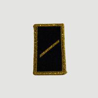 BADGI DI GRADO - Army svizzero - oro/nero