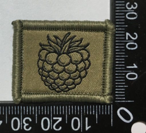 Badge brodé personnalisé réalisé pour une section de l’armée suisse