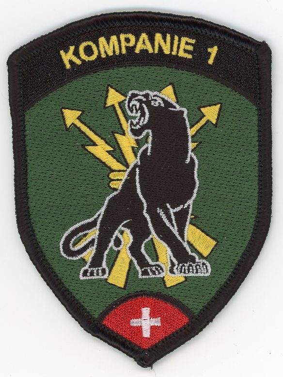 Badge brodé personnalisé réalisé pour une section de l’armée suisse