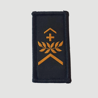Insignes de grade noir/or - Collection